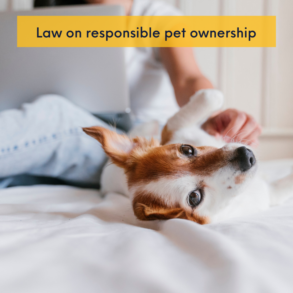 Law on responsible pet ownership | DivinaLaw
